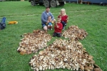 Тернопольская семья собрала 112-килограммовый урожай грибов