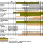 Календарь роста и сбора грибов