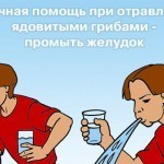 МЧС Украины рассказал, как не отравится грибами