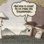 Саратовский Роспотребнадзор объяснил, почему травятся грибами