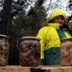 Заготавливаем грибы на зиму