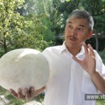 Гиганта весом три килограмма нашел и привез в Бишкек простой школьный учитель
