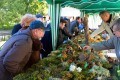 Вас ждет уникальная специализированная «Грибная выставка» где будут представлены многочисленные виды грибов Ленинградской области.