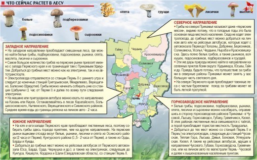 Карта грибных мест Прикамья
