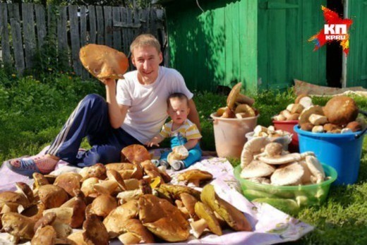 Семья из Уфы собрала в Башкирии гигантские грибы