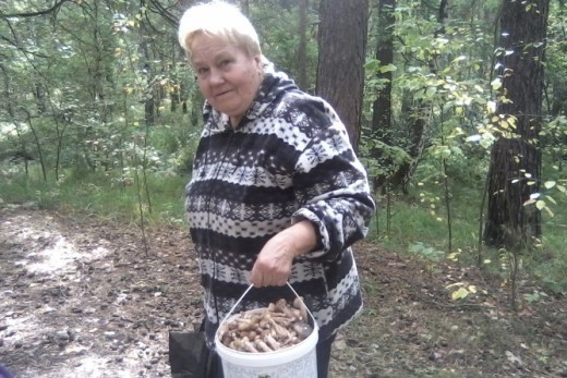 Челябинцев предостерегают от сбора грибов в Шершневском бору