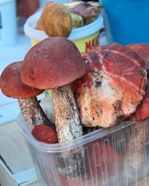 На брестском рынке грибы присутствуют уже вторую неделю, хоть и не в изобилии. Утром в среду, 30 сентября, шесть человек продавали белые. У кого лукошко, у кого и две корзины. 