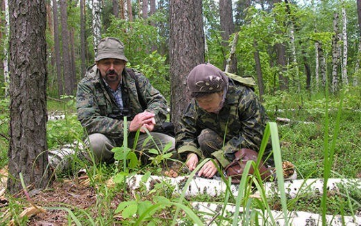 Микологи заповедника "Галичья гора" открыли 40 новых для Воронежского биосферного заповедника, часть которого расположена на территории Усманского района Липецкой области, грибов.
