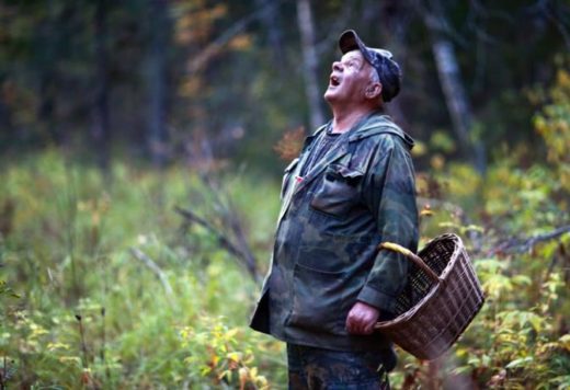 В связи с массовым сбором грибов и ягод лесхозы Беларуси усиливают контроль за соблюдением природоохранного законодательства. Работника лесной охраны под каждым деревом не поставишь, поэтому большая ставка делается на фотоловушки.