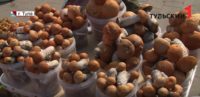 Как тулякам купить безопасные грибы