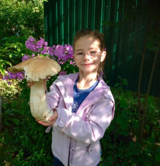 Девочка нашла огромный гриб в карельском лесу