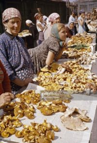 Продажа грибов на Даниловском рынке