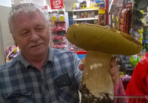 Житель Златоуста удивил покупателей одного из магазинов необычной находкой, огромным грибом, который нашел недалеко от национального парка Таганай