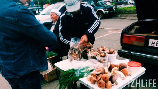 Лето в Ижевске выдалось дождливое и холодное, и поэтому на рынках города можно купить рыжики, подберезовики, подосиновики, опята и белые грибы.