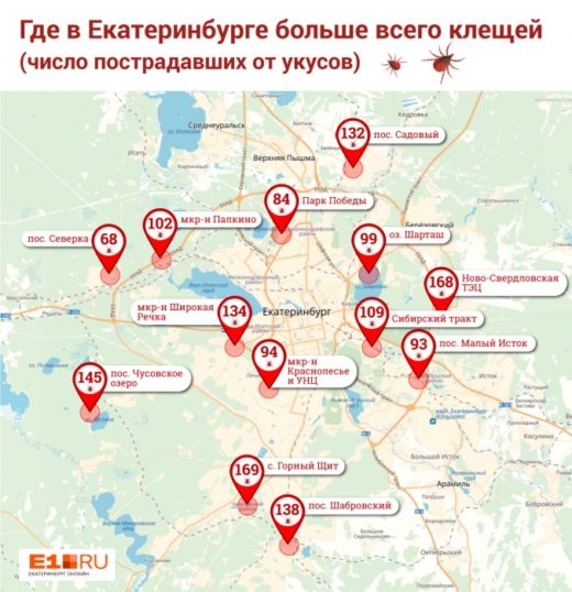 Карта районов Екатеринбурга, где чаще всего нападают кровососы