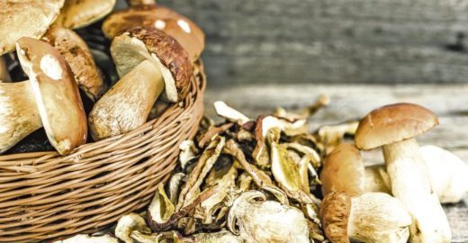 Житель Томской области украл почти 90 кг сушеных грибов
