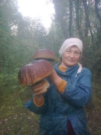 Под Минском растут грибы-великаны 