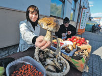 По дороге из глубинки в Москву грибы дорожают в 15 раз