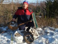 Кировчанин в ноябре собрал пять ведер рыжиков под снегом