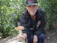 Во владимирских лесах пошли грибы
