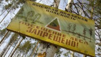 В трех районах Тверской области введен запрет на посещение лесов