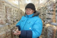 Учительница из Бурятии открыла ферму по выращиванию грибов