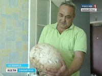 Житель Челябинска нашел пяти килограммовый гриб