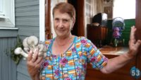 В Новгородской области 73-летняя учительница начальной школы Нина Степанова разработала бизнес-проект по выращиванию грибов