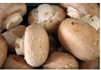 Шведским производителям мешают поставки дешевых грибов из Германии
