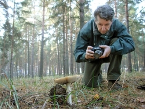 Новгородские ученые нашли несколько редких видов грибов, неизвестных ранее
