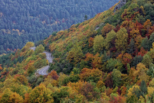 Осенний лес в Пуэбла-де-Лильо в Испании
