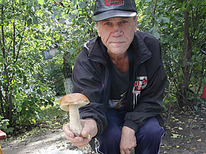 Сбор грибов