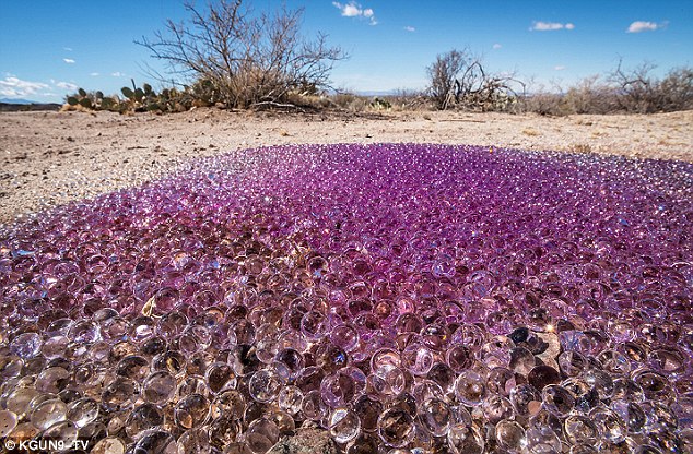 Удивительную картину обнаружили американские туристы, прогуливавшиеся в пустыне Аризона – тысячи крошечных прозрачных фиолетового цвета сфер покрывали почву