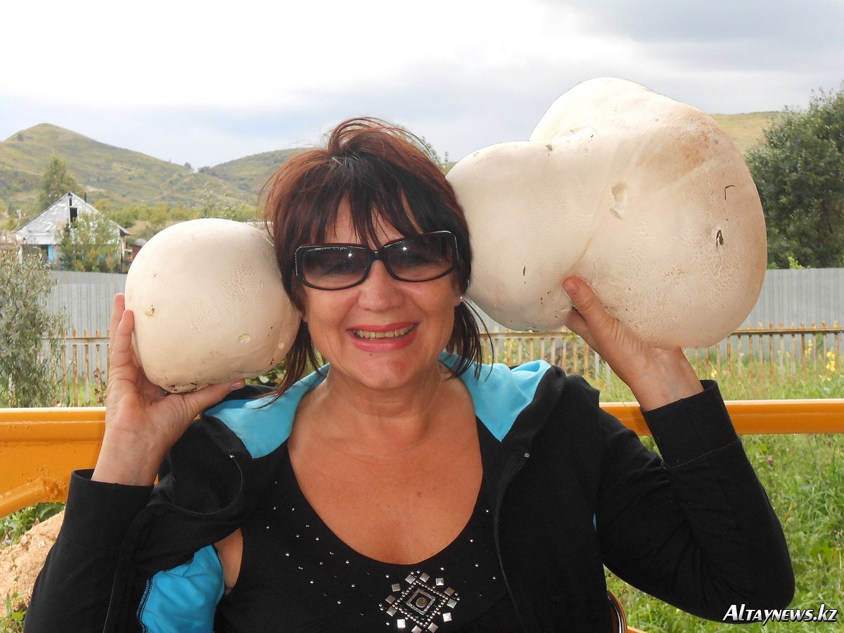 Гигант среди дождевиков, шаровидный гриб нашла на берегу реки Ульбы бывшая жительница областного центра Татьяна Заболоцкая