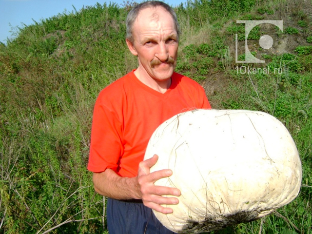 "Уловом" заядлого рыбака из Кемеровской области вместо рыбы неожиданно стал гигантского размера гриб-дождевик весом 8 килограммов