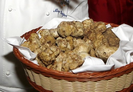В Латвии появится 20 хозяйств по выращиванию трюфелей