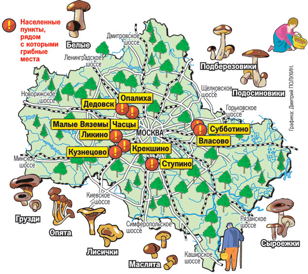 Грибная карта Подмосковья
